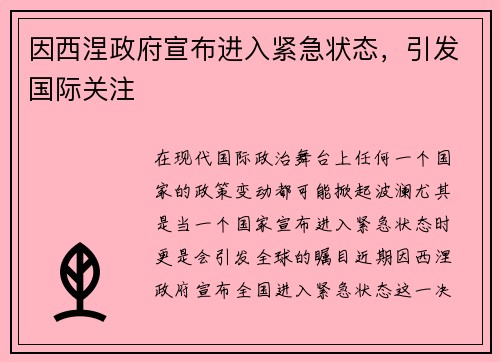 因西涅政府宣布进入紧急状态，引发国际关注